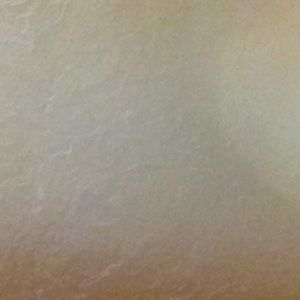 Meet your Posher, Autumn